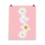 White Daffodils Stack Art Print