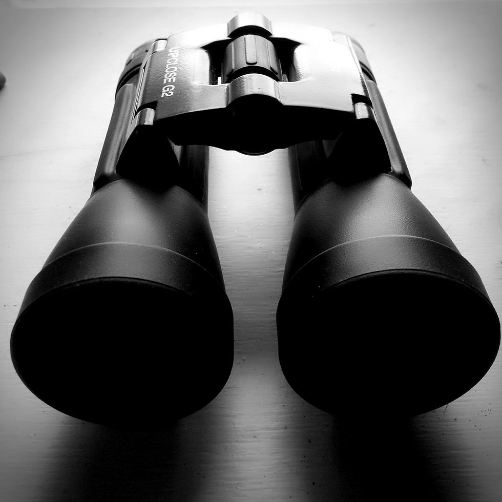 My binoculars that I use for bird watching and nature viewing.
