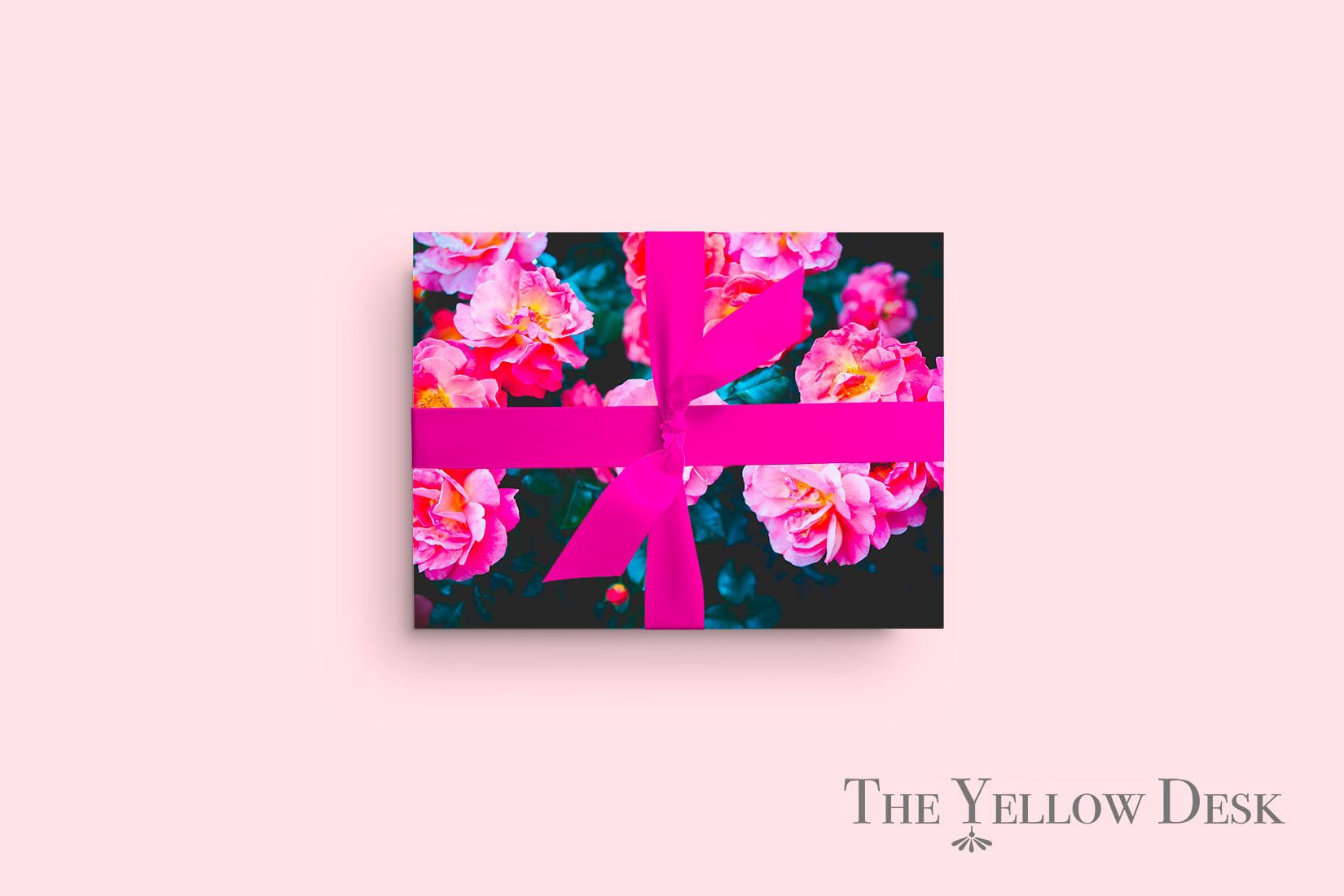 Blushing Rock Roses Gift Wrap on pink background