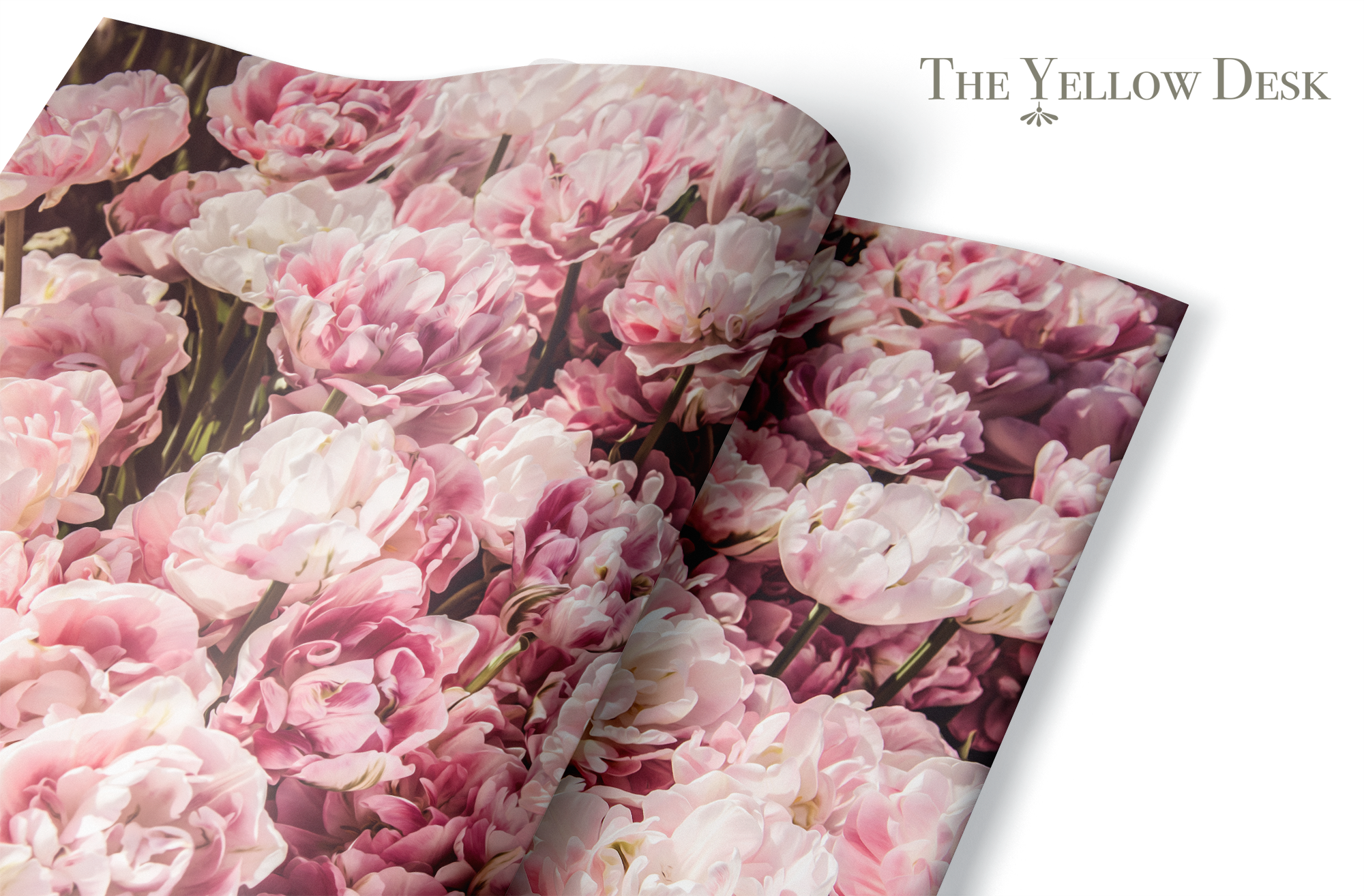 Sing a Song of Flowers Gift Wrap flat lay