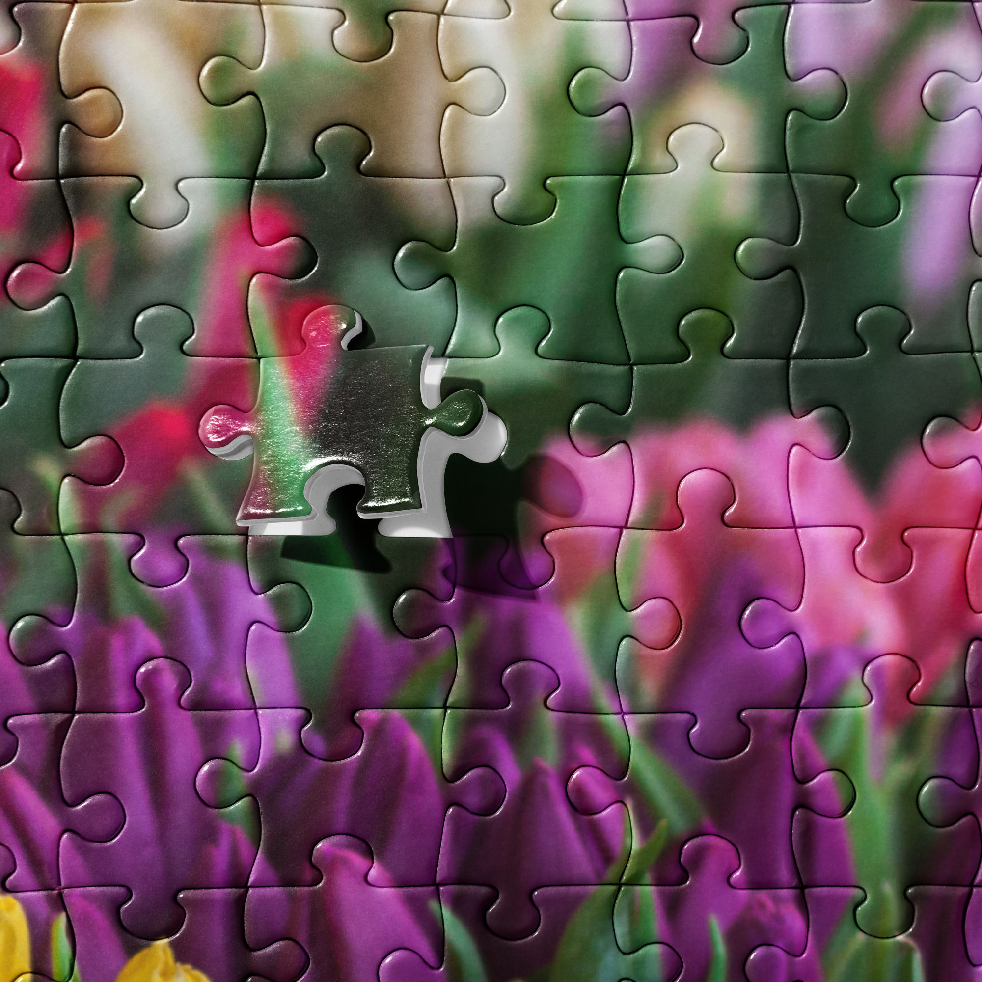 Colorful Tulips Jigsaw Puzzle