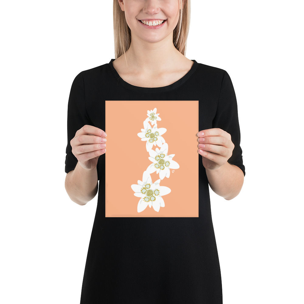 Edelweiss Flower Stack Art Print