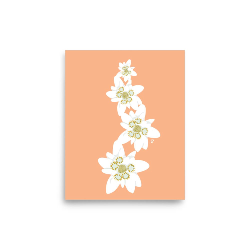 Edelweiss Flower Stack Art Print small