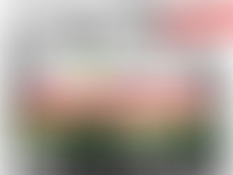 Une nouvelle agence CR2P à Bayonne