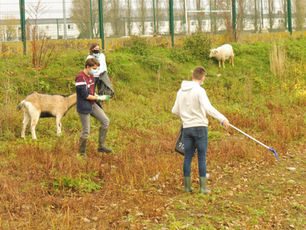 Nettoyage du grand bassin