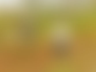 Nettoyage du grand bassin