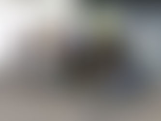 "1 million d'arbres dans les hauts-de-france"