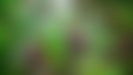 A second breath of fresh air