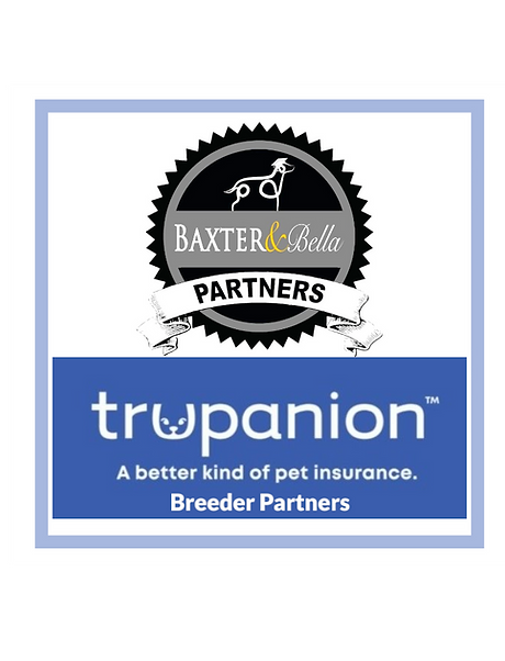 Photoroom-20250505_134940_edited_edited_