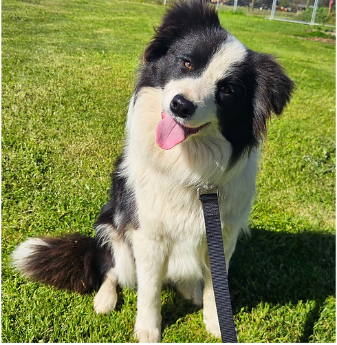 2025-08-21 11_09_06_edited_edited.png