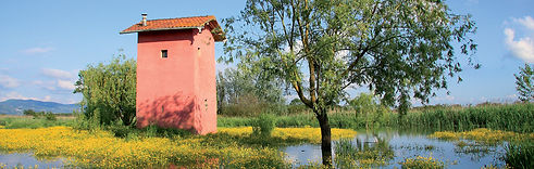 1920x609_padule.jpg