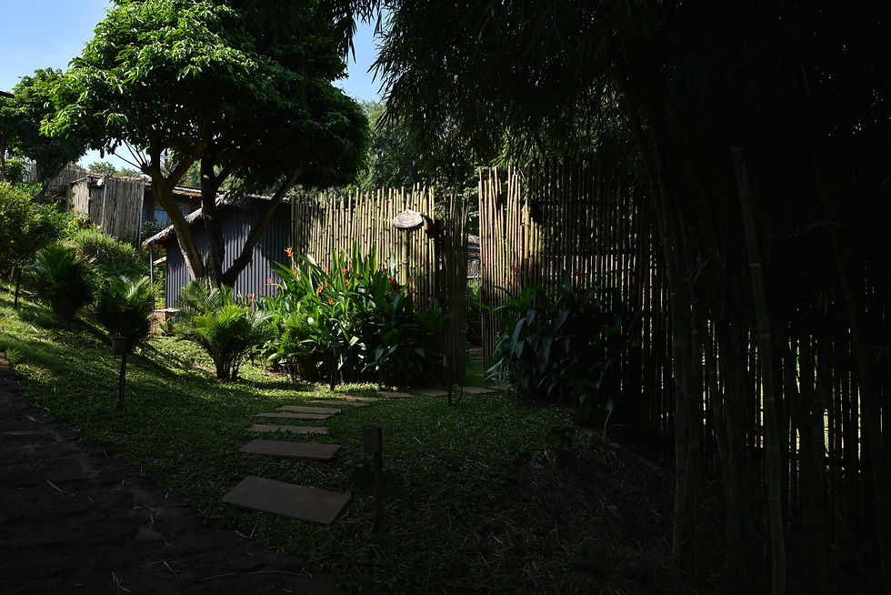 Bungalow ẩn náu giữa vườn tre