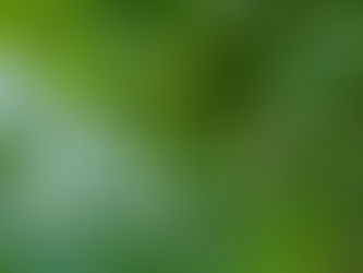 Mùa hè tại khu nghỉ dưỡng Nomia Garden Retreats