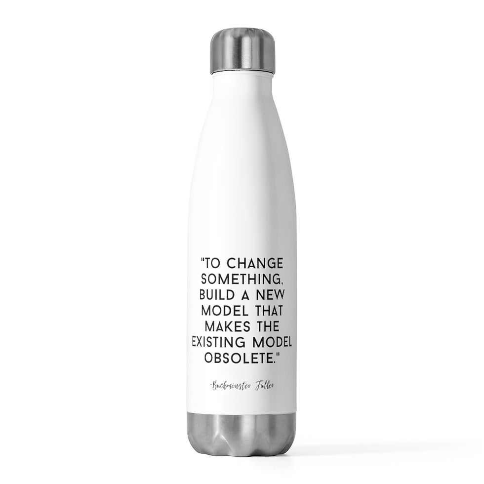 Buckminster Fuller 20oz Insulated Bottle