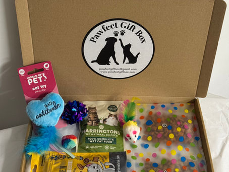 Pawsome News: Our Letterbox Treat Boxes Are Back in Stock!