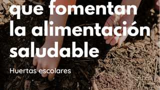 Programas que fomentan la alimentación saludable