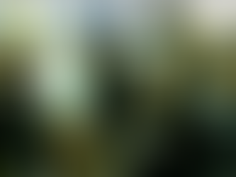 Escuelas privadas se reunieron para analizar el contexto educativo actual