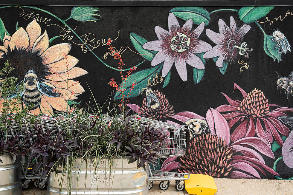 Rosewood Market Picks: June 8-14