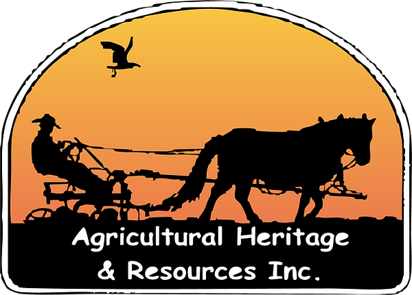 ahr-logo-color.png