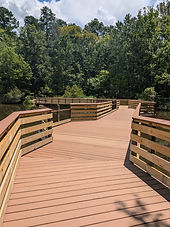 sahra trail2.jpg