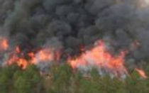 G-13 Wildfire.jpg