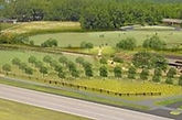 Beech1.jpg