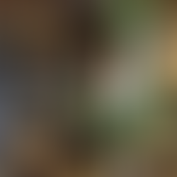 ハランとグラジオラス