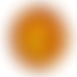 a plain bagel on a white background