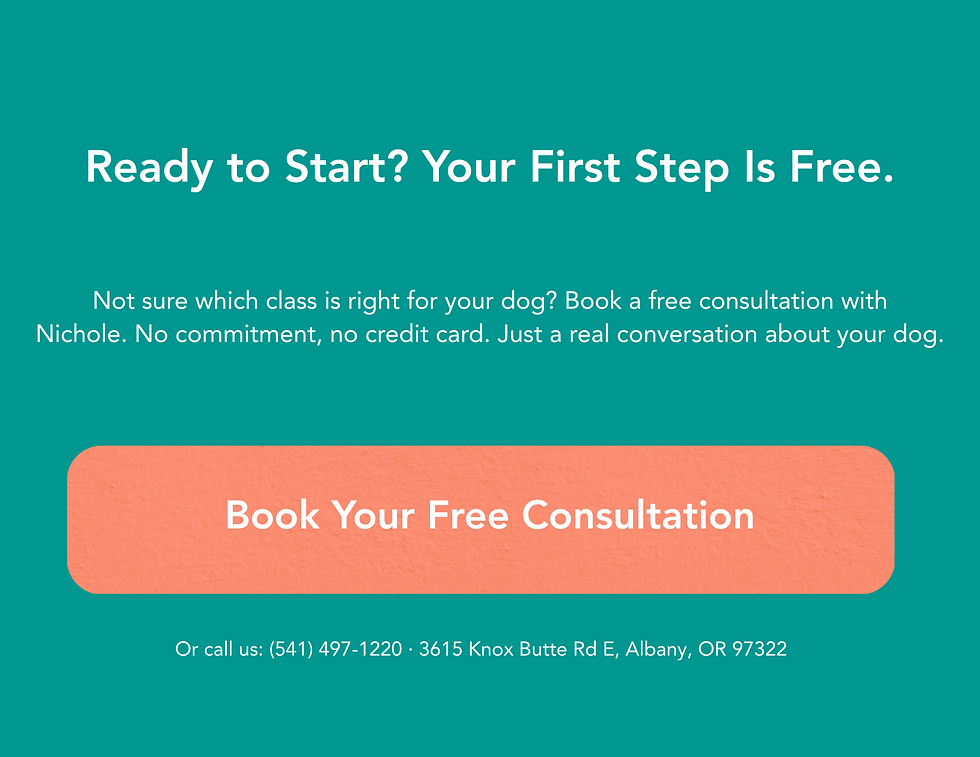 Book Your Free Consultation