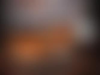 A dog relaxing in a safety zone during fireworks