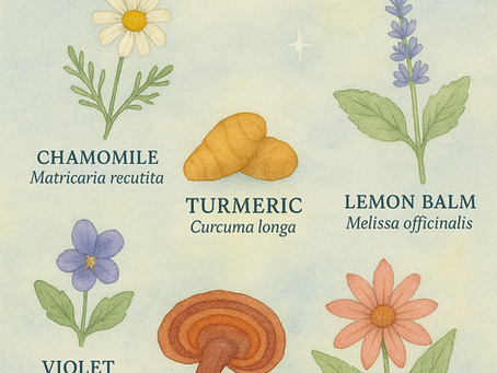 Best herbs for chronic illness support