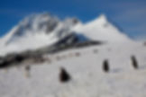 port-lockroy-peak-and-penguin-foreground-img_5720-12-march-2011