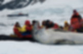 leopard-seal-and-poeple-_dsc2348-boris-wise-website-version