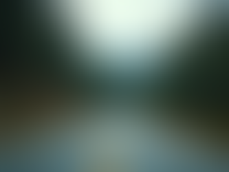 Creative Bus Holidays India: Unique Routes and Experiences to Explore