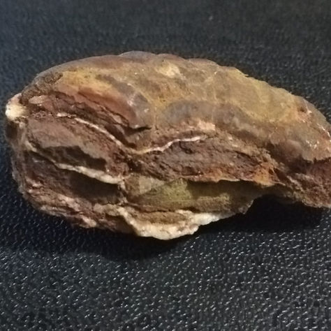 TAFONOMÍA 