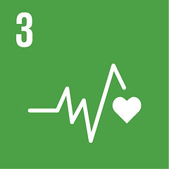 SDG 3.jpg