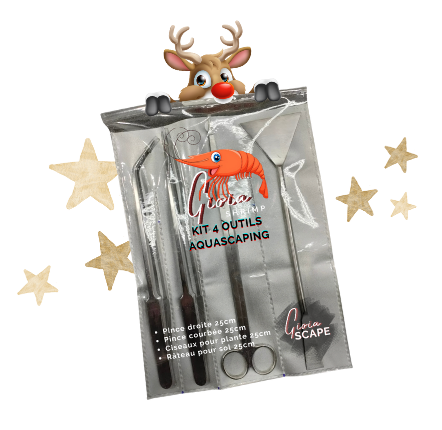 kit aquascaping