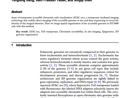 We contributed to one chapter of the book: Chromatin Accessibility 