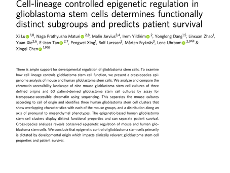 Our first project after the lab open is published in NC, nice collaboration with Dr. Lene Uhrbom