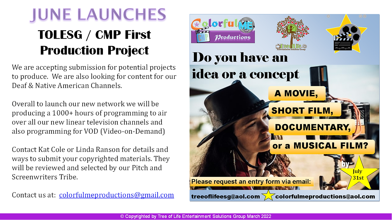 Film Project Submission flyer.png