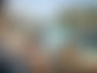 Best Way to Check on House While Traveling