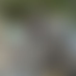 長崎県公立教職員社会体験研修を行いました。