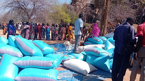 WhatsApp Image 2026-02-17 at 1.36.17 PM.jpeg