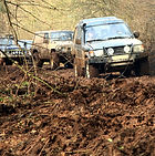 Safari Jeeps
