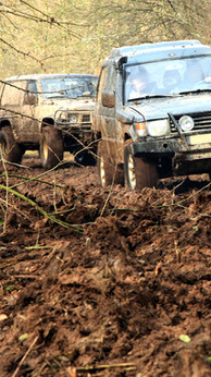 Safari Jeeps