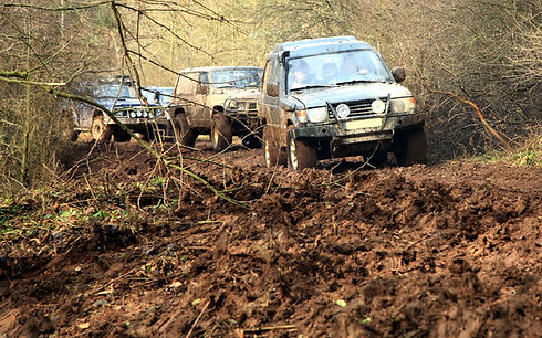 Safari Jeeps