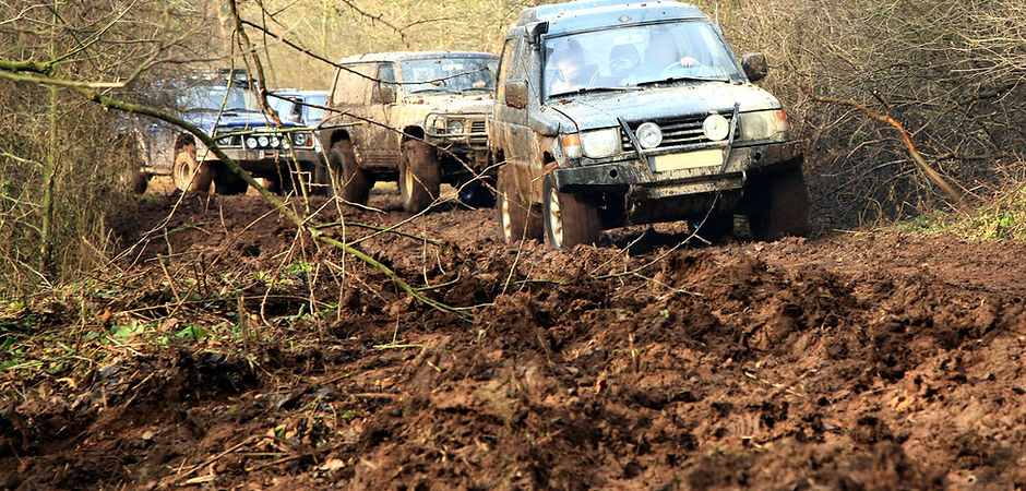 Safari Jeeps