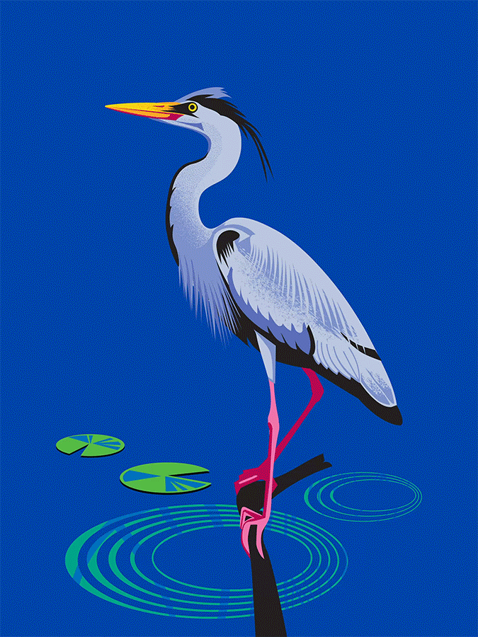Conservancy of Southwest Florida