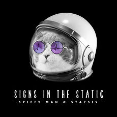 Signs In The Static.jpg