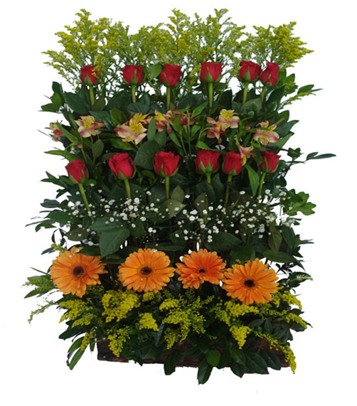 MIRADOR EN ROSAS Y GERBERAS